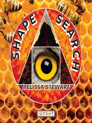 cover image of Shape Search